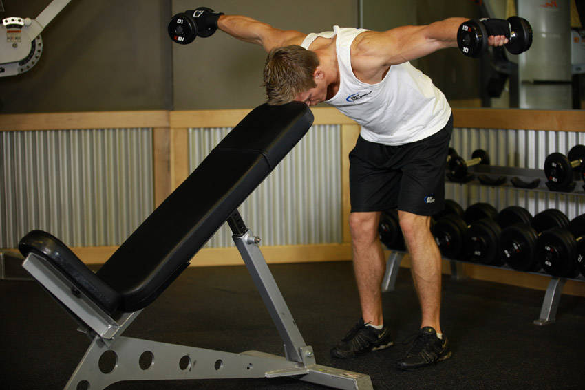 Bent Over Dumbbell Rear Delt Raise With Head On Bench variant 2