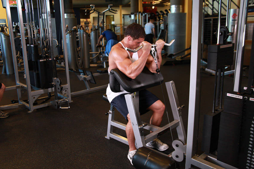 Cable Preacher Curl variant 2