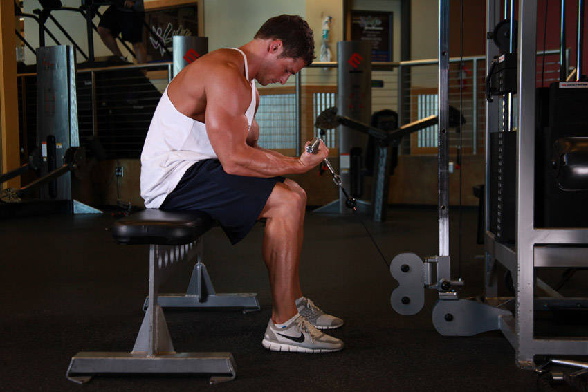 Cable Wrist Curl variant 2