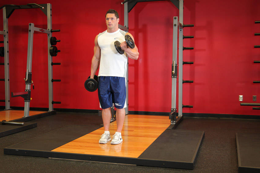 Dumbbell Alternate Bicep Curl variant 2