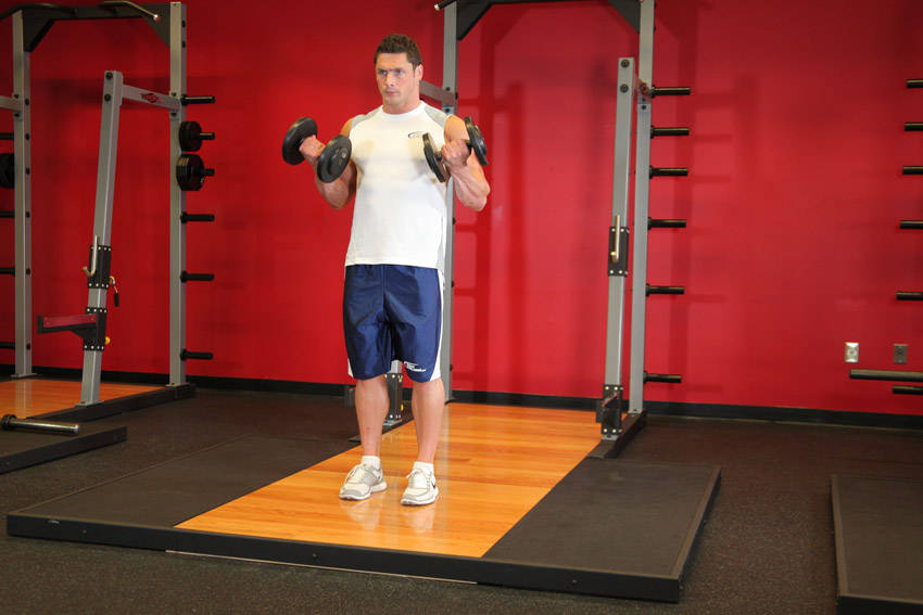 Dumbbell Bicep Curl variant 2