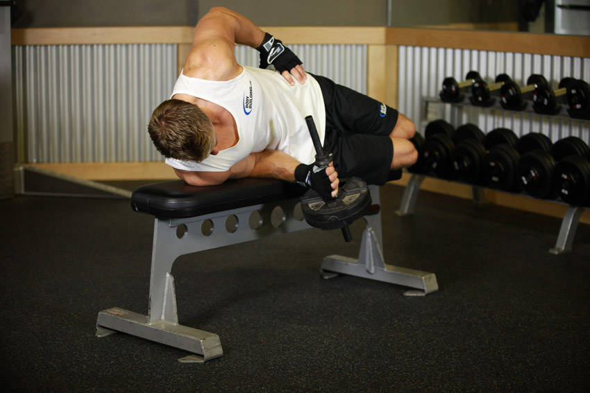 Dumbbell Lying Supination variant 2
