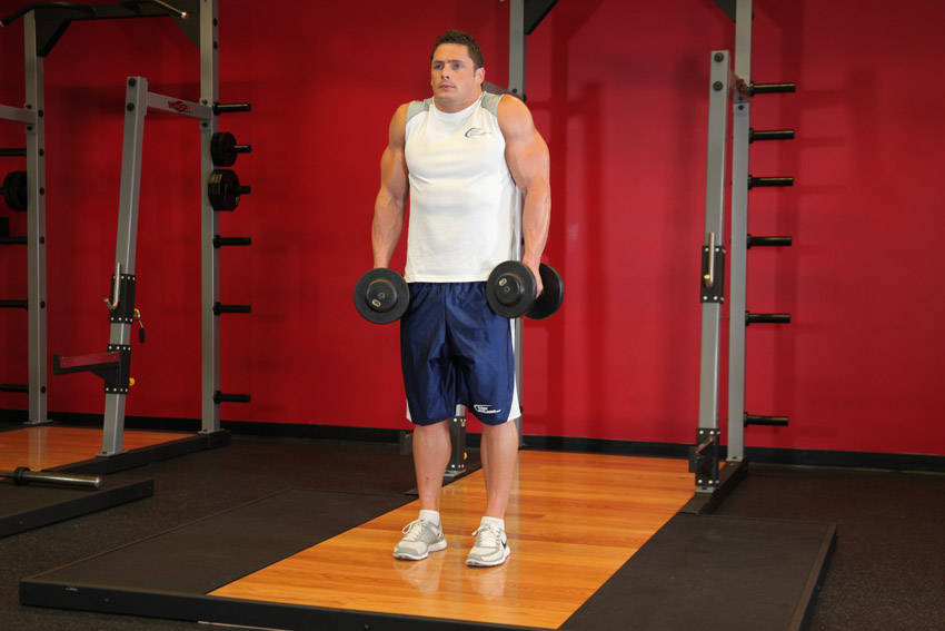 Dumbbell Shrug variant 2