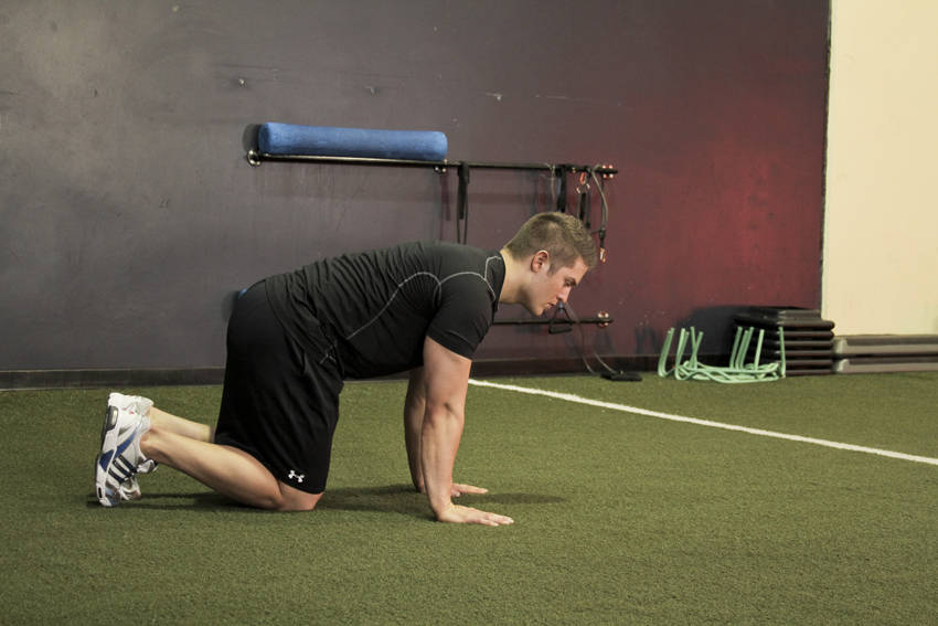 Hip Circles (prone)