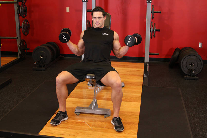 Incline Inner Biceps Curl variant 2