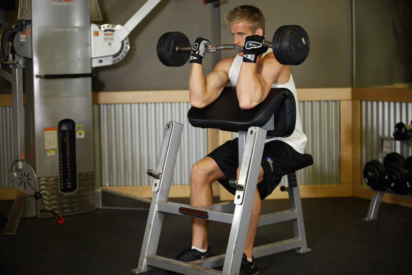 Preacher Curl variant 2