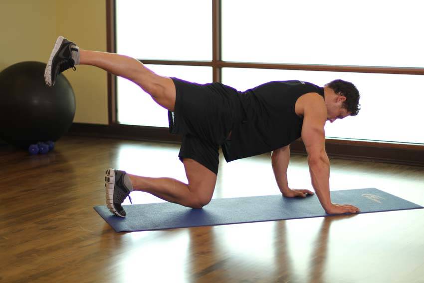 Rear Leg Raises variant 2