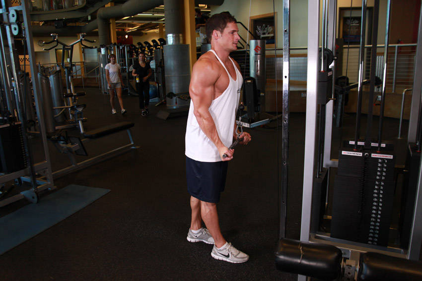 Reverse Grip Triceps Pushdown variant 2