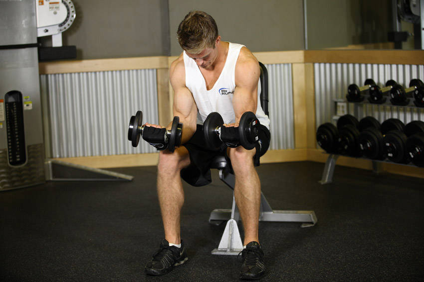 Seated Dumbbell Palms-Up Wrist Curl variant 2