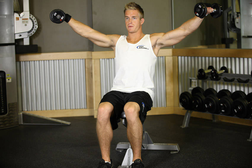 Seated Side Lateral Raise variant 2