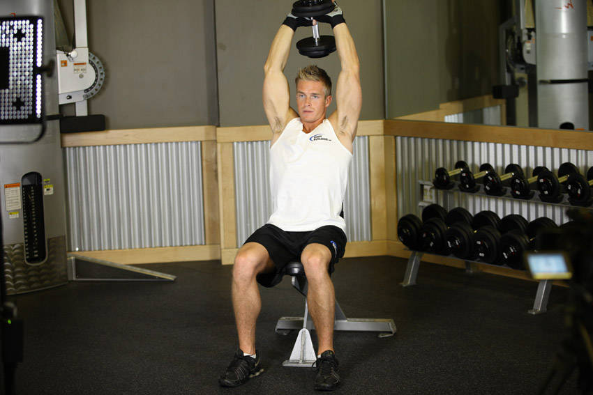 Seated Triceps Press variant 2